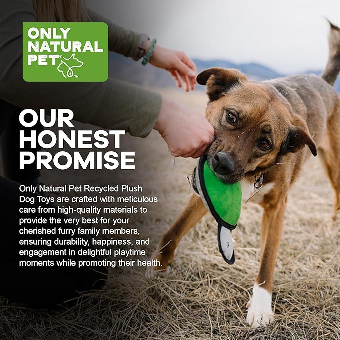 Only Natural Pet Sea Creatures Recycled Plush Dog Toys - Durable Double-Stitched Design with Internal Squeaker, Rope Tug Tail & Plush Head - Squeaky Pet Toy | Titan The Turtle, 11" x 5.5"