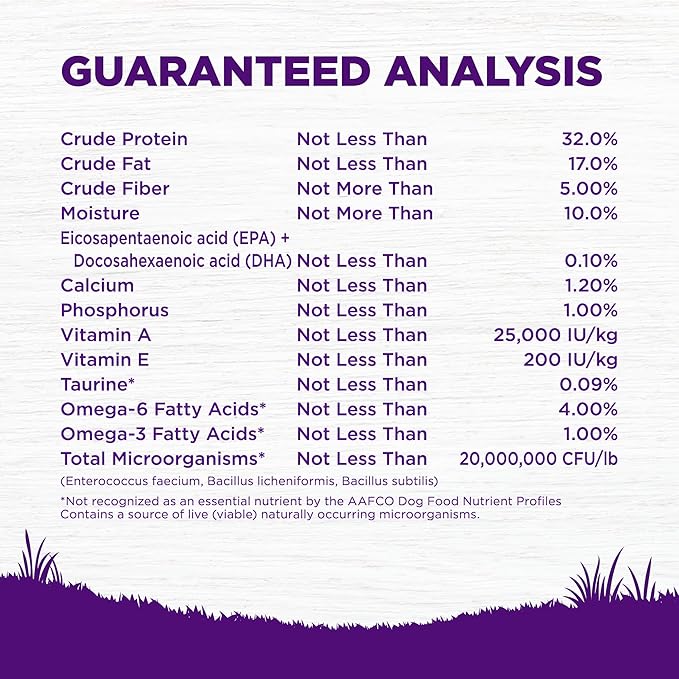 Wellness Complete Health Puppy Dry Dog Food, Grain Free, Natural, Chicken & Salmon Recipe, (12-Pound Bag)