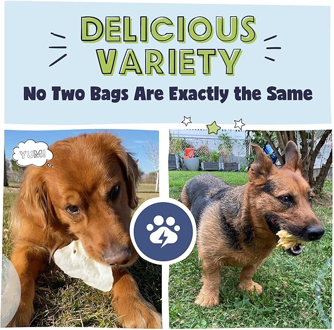 Pawstruck Bizarre Bargain Bag Assorted Natural Dog Chew Treats - Animal Ears, Jerky, Bones, Hooves, Beef Straps - Long Lasting Rawhide Alternative for Chewers, All Breeds - 1 lb, Packaging May Vary