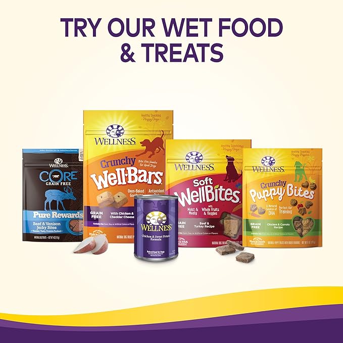 Wellness Complete Health Puppy Dry Dog Food, Grain Free, Natural, Chicken & Salmon Recipe, (12-Pound Bag)