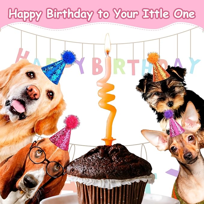 10Pcs Dog Cat Birthday Hat Mini Party Birthday Hats for Stuffed Animals Set Cute Small Party Hats with Glitter Adjustable Pastel Pet Grooming Costume Accessories Mini Stuff for Small Dogs Cats