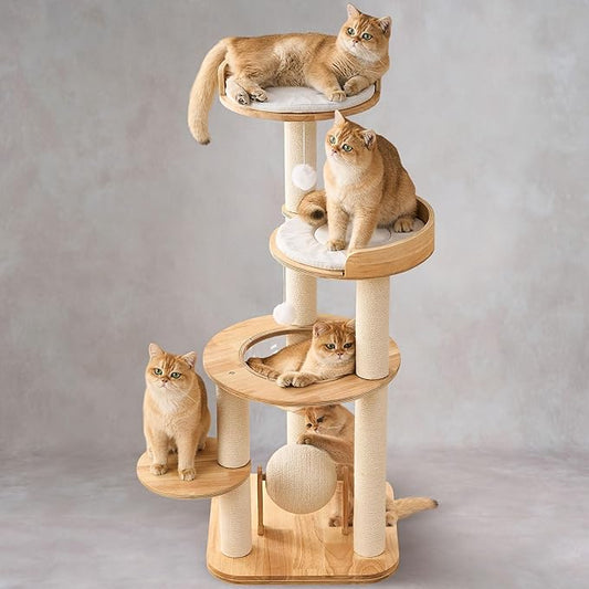 797Audio Modern Solid Wood Cat Tree Tower, 49" Tall Cat Tree with Sisal Scratching Posts and Capsule for Large Cats, Natural Oak Wooden Cat Tower,Aesthetic Multi-Level Cat Climbing Tree for Indoor Cat