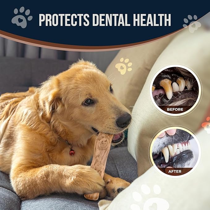 Coffee Wood Dog Chew Stick for Regular Chewers, 9.7'', 2 Pack Size Large - 100% Natural Dog Toys - Teeth Cleaning & Relieve Stress, Organic Toys