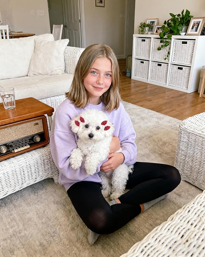 PET SHOW 20 Pack Leopard Dog Hair Bows with Alligator Clips for Small Medium Dogs Cheetah Bowknot Hair Clips Cat Puppy Yorkshire Rhinestone Grooming Hair Accessories for Birthday Party