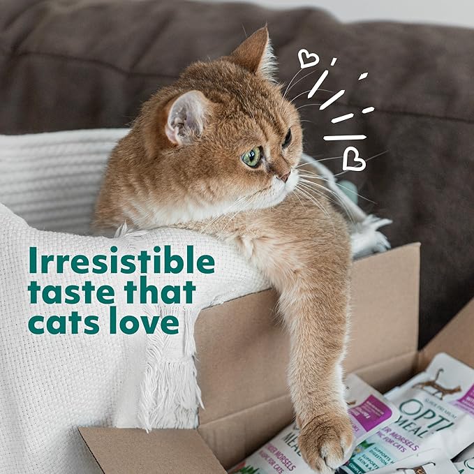 Optimeal Grain-Free Wet Cat Food Pouches – Beef & Rabbit in Savory Gravy, High Protein & Moisture-Rich Tender Morsels, Indoor Adult Cat Food Wet with Natural European Ingredients, 3 oz (Pack of 12)