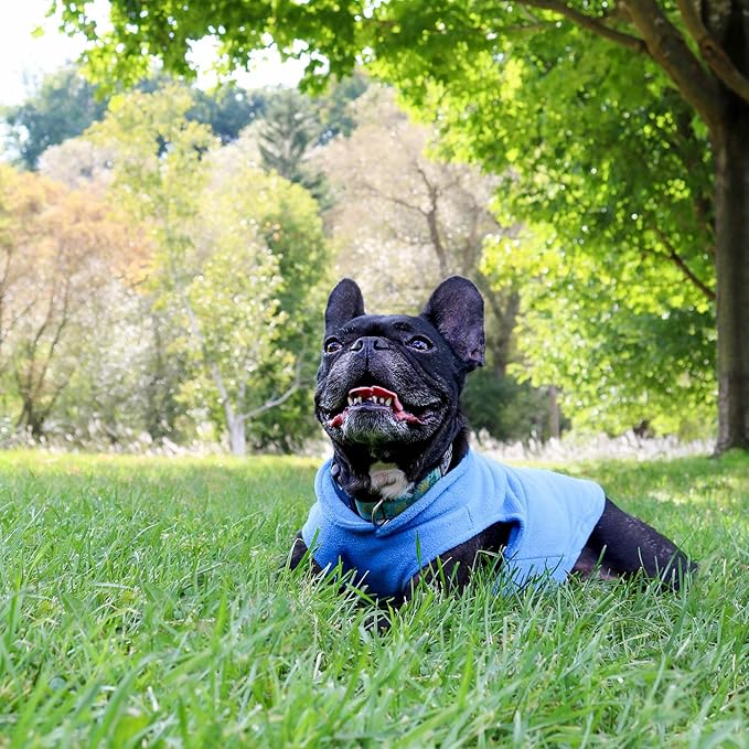 JACKO & CO - Fleece Vest Dog Sweater with Leash Ring - Soft, Warm & Lightweight Pullover Coat for Small & Medium Dogs, Puppies & Cats - Cozy Fall/Winter/Spring Pet Jacket (Blue, X-Small 2-4lbs)