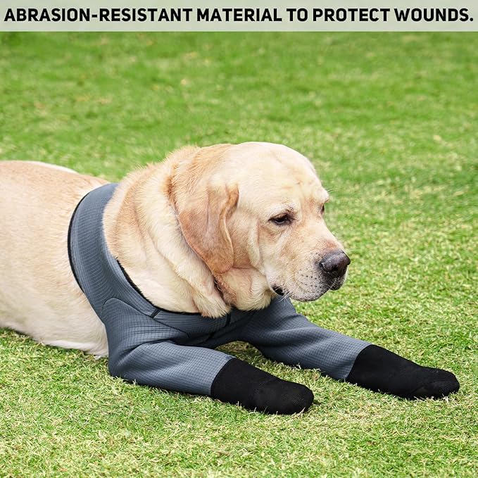 Dog Socks & Boots - Waterproof Anti-Licking Paw Protectors with Non-Slip Bottom, Post-Surgery Recovery Sleeves for Wound Protection (Grey, 2XL)