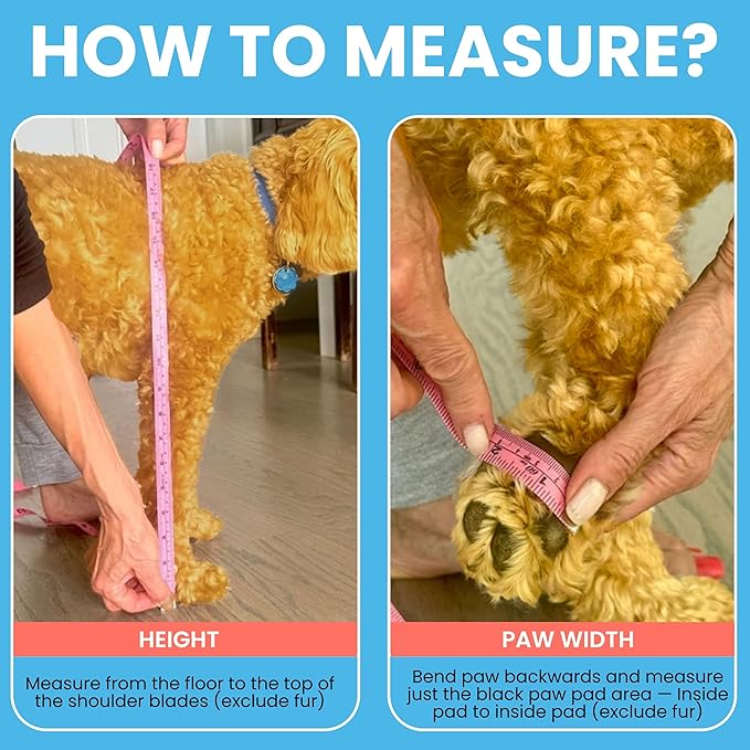 Walkee Paws New Deluxe Easy-On Dog Boot Leggings, Protects from Hot Pavement, Summer Showers, Wet Surfaces, Allergens (Confetti, Small/Medium)