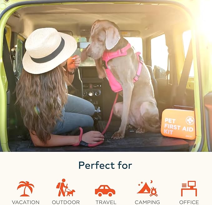 Care Bundle - First Aid Kit and Ear Cleaner Wipes for Dogs, Essential Health and Hygiene Set