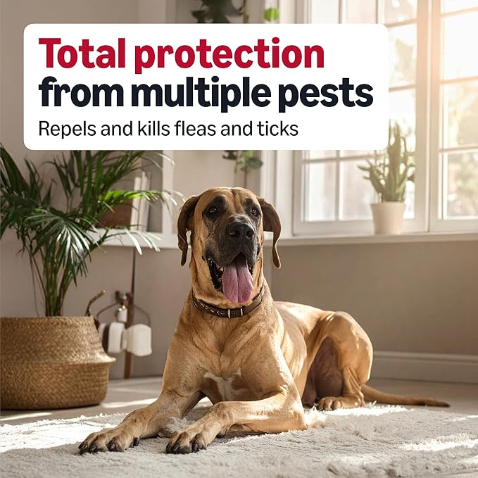 Amazon Basics Flea and Tick Topical Treatment for X-Large Dogs (89-132 Pounds), 6 Count, Packaging May Vary