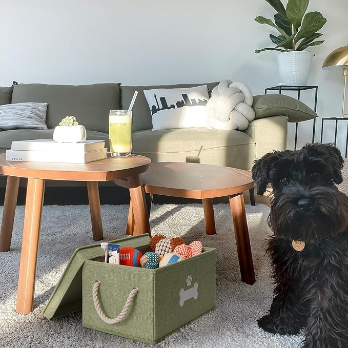 Dog Toy Basket with Lid, Collapsible Storage Bin for Dog Toys, Green