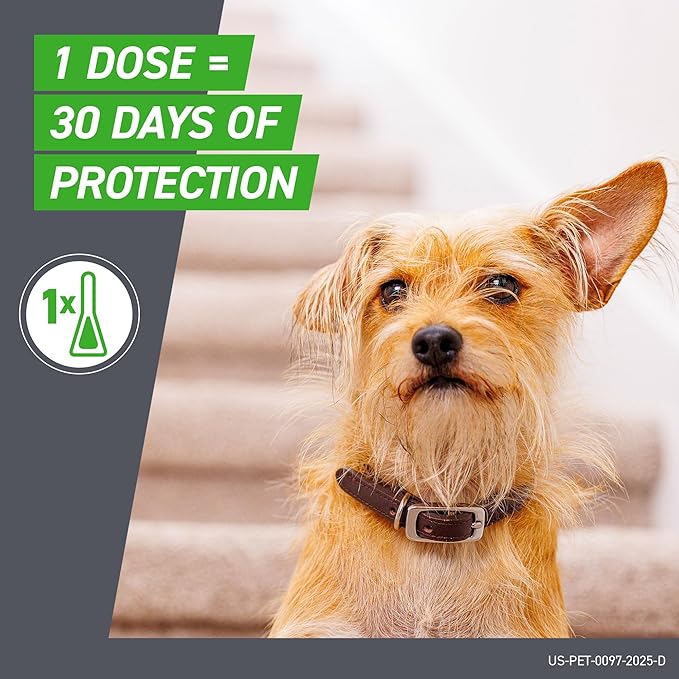 FRONTLINE Plus Flea and Tick Treatment for Medium Dogs Up to 23 to 44 lbs. 3 Treatments