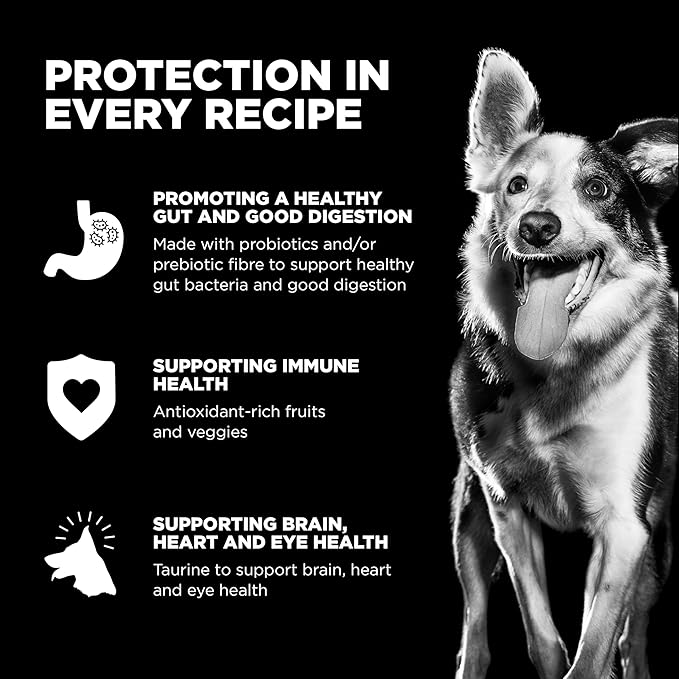 Go! Solutions Skin + Coat Care, Dry Dog Food, Chicken Recipe with Grains, 3.5 lb Bag