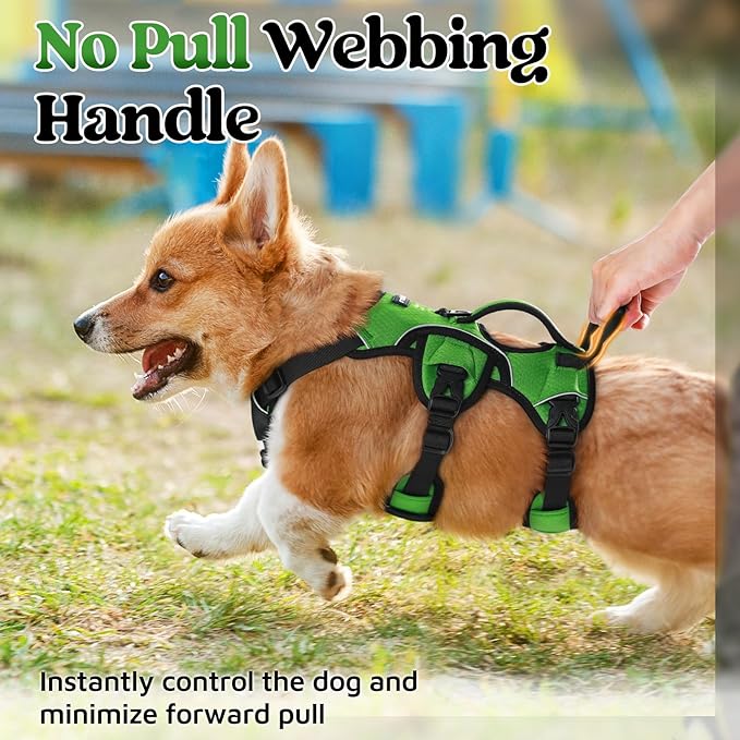 rabbitgoo Escape Proof Dog Harness, Soft Padded Full Body Pet Harness, Reflective Adjustable No Pull Vest with Lift Handle and Lesh Clip for Large Dogs Walking Hiking Training, S, Green