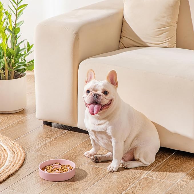 vancasso Slow Feeder Dog Bowl, 0.6 Cups Ceramic Dog Food Dish for Fast Eaters Small Breed, Puzzle Bowl for Small Dogs and Cats, Pink