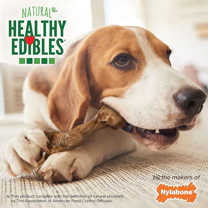 Nylabone Healthy Edibles Wild Natural Longer-Lasting Bison Flavor Bone Chew Treats for Dogs, Medium - Up to 35 lbs (2 Count) (Pack of 2)