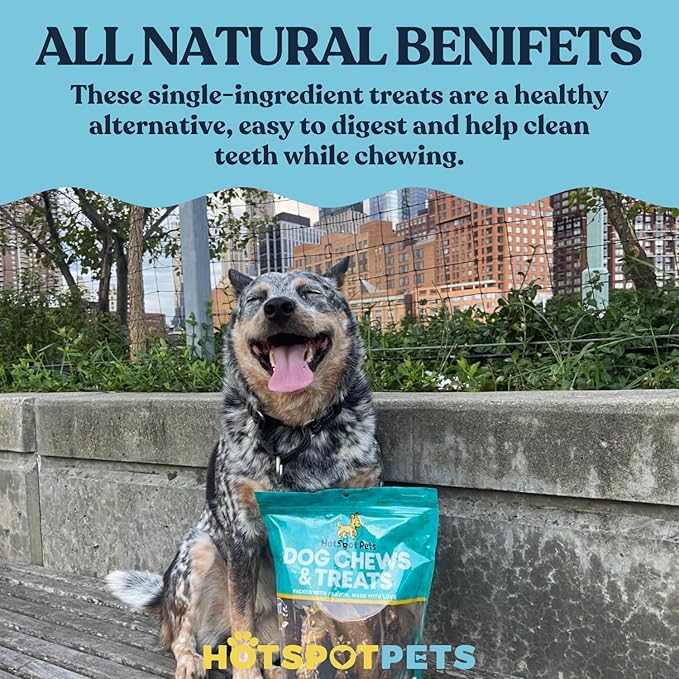 hotspot pets Beef Esophagus Dog Treats (12 Inch Chews- 12 Count) (Grass Fed with No Added Hormone & Antibiotic All Natural Jerky Dog Treats - Chews Rich in Glucosamine & Chondroitin for Joint Health