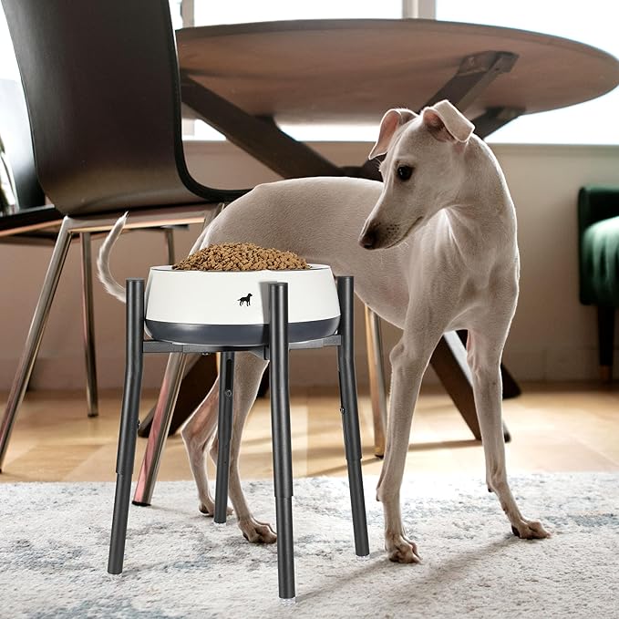 Raised Single Dog Bowl Stand, Adjustable 12-16" Tall, Elevated Dogs Food Bowl Stand for 8-12" Wide Bowls, Dog Bowl Holder for Medium Large - Metal Pets Dish Holder Only - Black