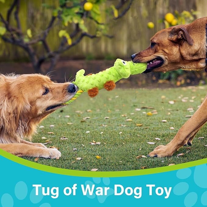 Prime Pets Dog Squeaky Toy, 2 Pack, Tug of War Dog Toys for Small Medium Large Dogs, Interactive Plush Puppy Chew Toy