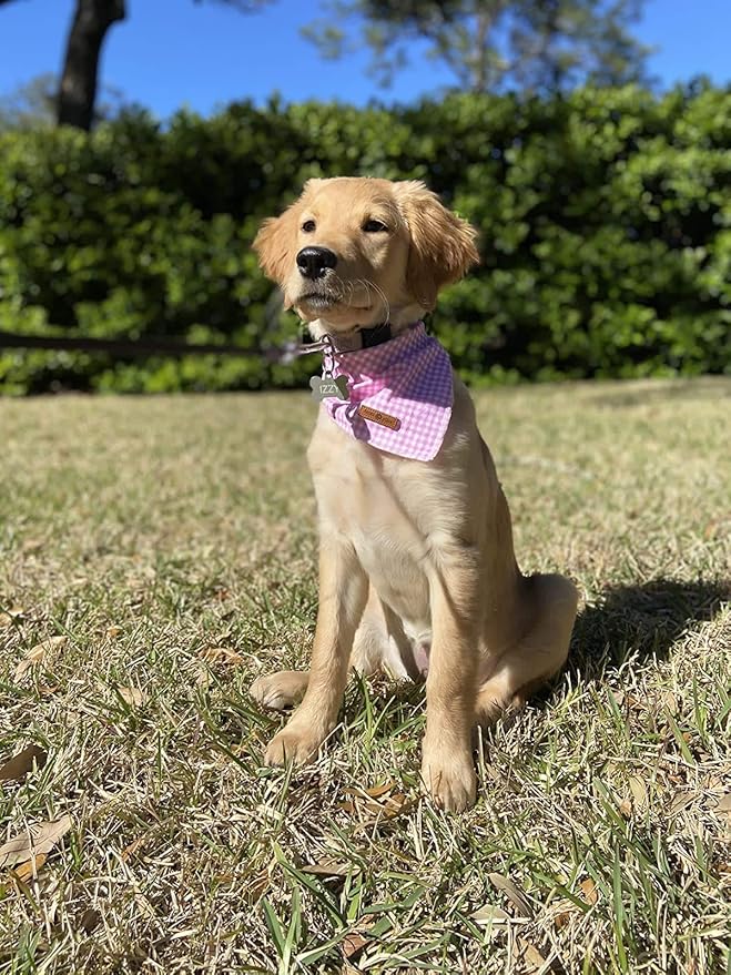 Lionet Paws Dog Bandana Washable Cotton Handkerchief Scarf Triangle Bandana for Small Medium Large Dogs Pink Grid