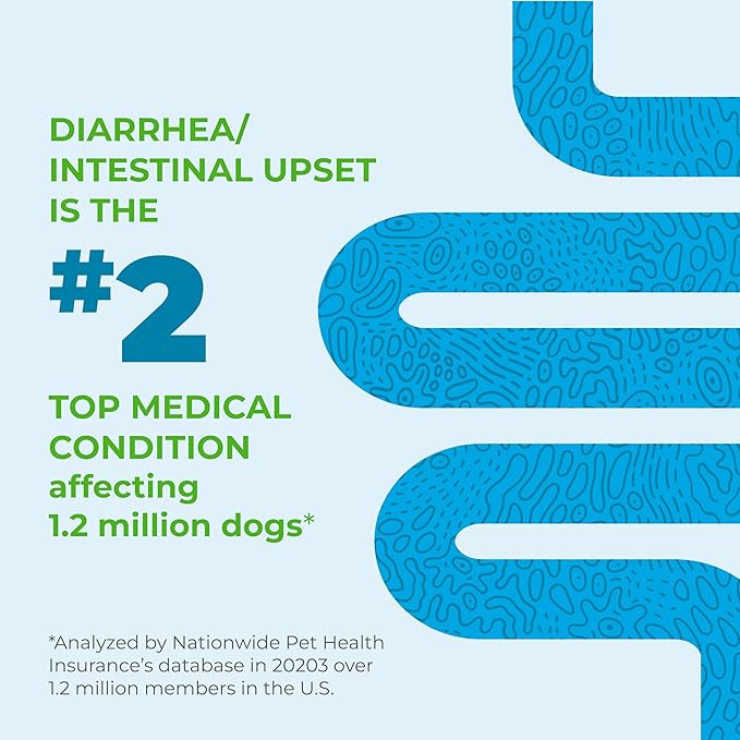 Vetnique Glandex Daily Probiotics for Dogs with Prebiotics to Support Gut Health with Fiber and Digestive Enzymes, Probiotic Chews or Powders (60ct Chews, Bacon Chews)