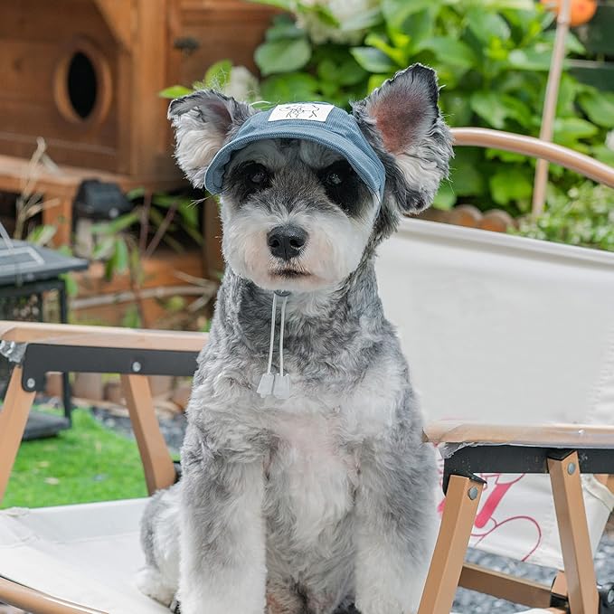 Pet Dog Baseball Cap, Cat Hat, Cat Dog Sun Cap with Ear Holes, Adjustable Puppy Outdoor Sun Hat (Blue, Small)