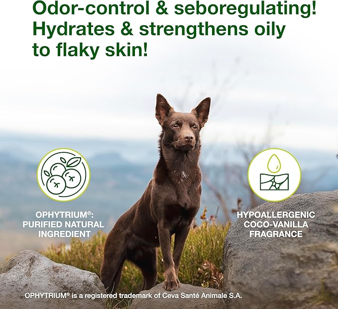 Douxo S3 SEB Shampoo, Contains 0.5% Ophytrium, Odor Control & Seboregulating, for Oily to Flaky Skin, Seborrhea, for Dogs and Cats, 6.7 fl. oz. (200mL)