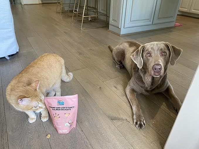 Champ and Liza’s Fancy Salmon Delights – Freeze-Dried Wild-Caught Salmon Treats for Dogs & Cats – USDC-Inspected, Grain-Free, No Preservatives, Omega-3 Rich, Natural Snacks – 4 oz