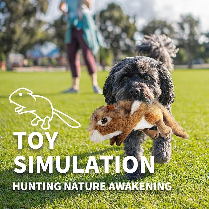 ALL FOR PAWS Dog Squeaky Toys Stuffed Animal Chipmunk Pet Plush Toys Squeak Chew Toy for Dogs Large