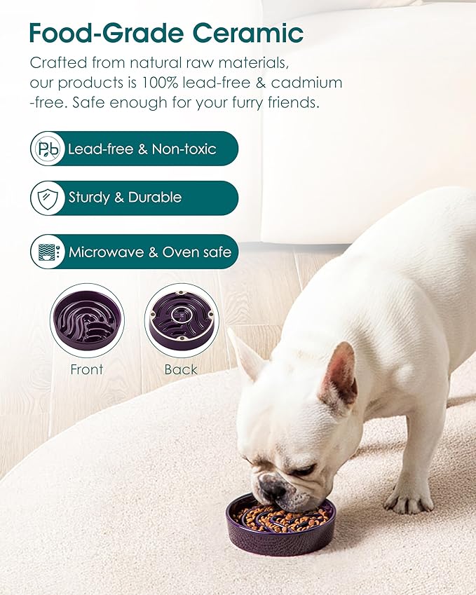 vancasso Slow Feeder Dog Bowl, 0.6 Cup Ceramic Slow Feeding Food Dish for Small Breed, Puzzle Dog Food Bowl for Fast Eater, Dark Purple