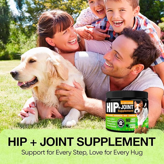 Glucosamine & Chondroitin for Dogs – Hip and Joint Supplement Chews with MSM, Vitamin C, Turmeric, Omega-3 for All Breeds – Pain & Mobility Support – 2-Month Supply – Chicken Flavor