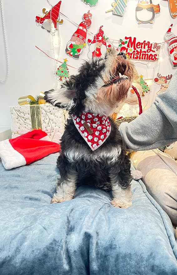 Lionet Paws Christmas Dog Bandana Washable Cotton Handkerchief Scarf Triangle Bandana for Small Medium Large Dogs Santa Claus Girl Boy