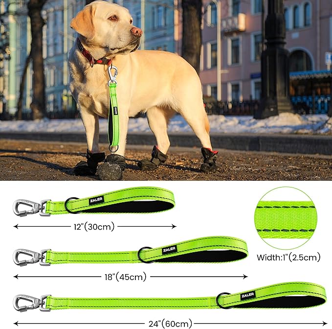 ZALER Short Dog Leash 2 ft, 24 Inches Traffic Leashes for Dogs, Nylon Reflective Dog Lead with Padded Handle, Heavy Duty Pet Leash with Carabiner Clip for Large and Medium Dogs (24" Green)