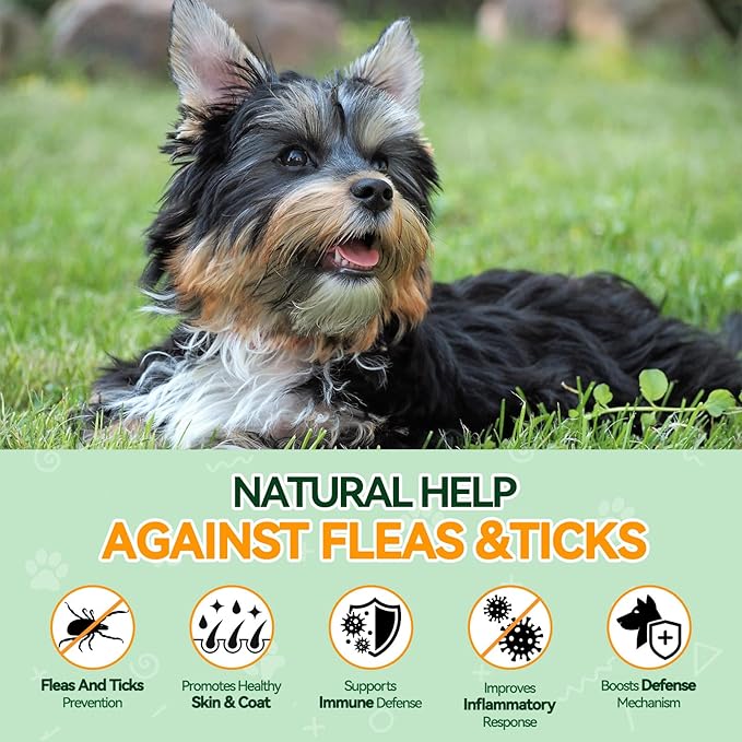 Flea and Tick Prevention for Dogs - 200 Chews Natural Dog Flea and Tick Support, Oral Flea Supplement for All Dogs, Supports Healthy Skin & Coat, Puppy Flea Protection - Chicken Flavor