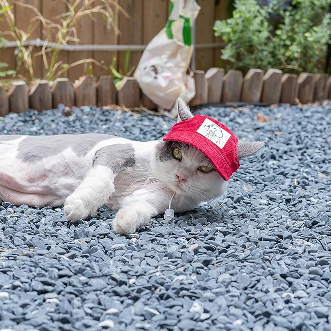 Pet Dog Baseball Cap, Cat Hat, Cat Dog Sun Cap with Ear Holes, Adjustable Puppy Outdoor Sun Hat (Red, X-Small)