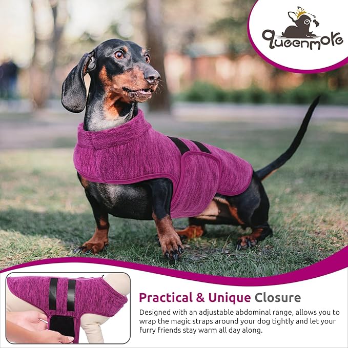 Queenmore Small Dog Sweaters, Soft Fleece Vest Pullover Dog Jacket with Leash Hole, Warm Winter Dogs Clothes Cold Weather Doggy Dachshund Sweater for Small Doggy Cats Boy or Girl (Cationic Berry, S)