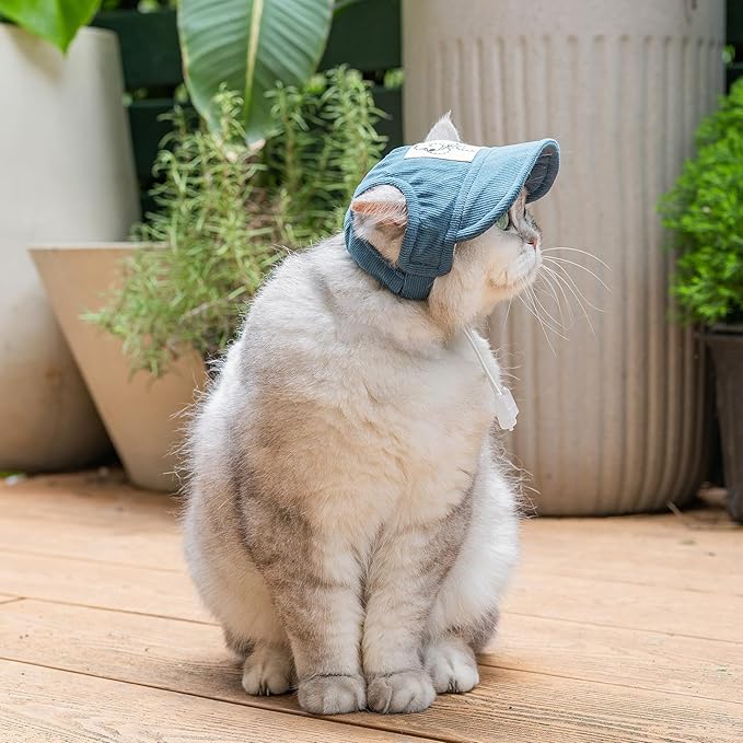 Pet Dog Baseball Cap, Cat Hat, Cat Dog Sun Cap with Ear Holes, Adjustable Puppy Outdoor Sun Hat (Blue, X-Large)