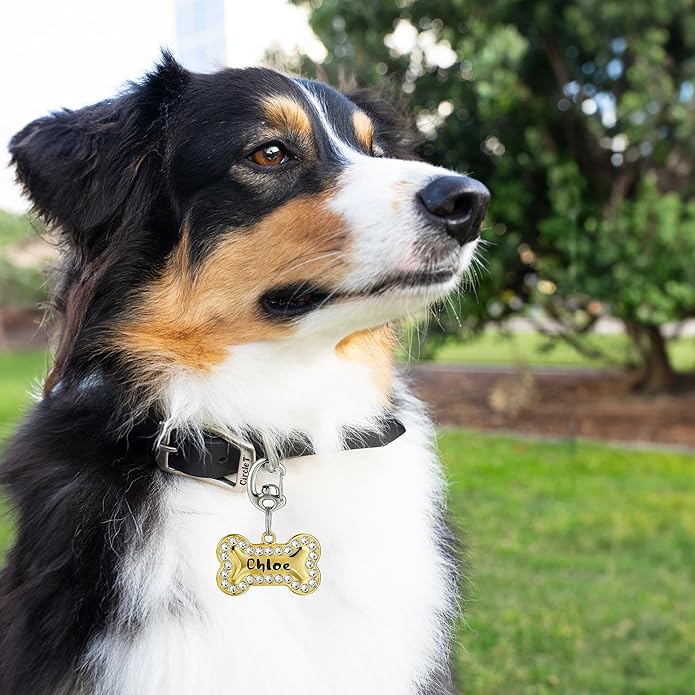 Fliplock Carabiner Dog Tag Clips - Quick Release Collar Clips for ID Tags, Pet Safety, and Keychains - Small, Secure Carabiner Clips for Dog Collars, Keys, and More