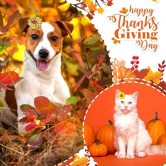 Sadnyy 60 Pack Thanksgiving Dog Hair Bows Fall Dog Flower Bows with Rubber Bands Thanksgiving Puppy Grooming Hair Accessories Pumpkin Turkey Pattern for Holiday Puppy Cats Pets Accessories