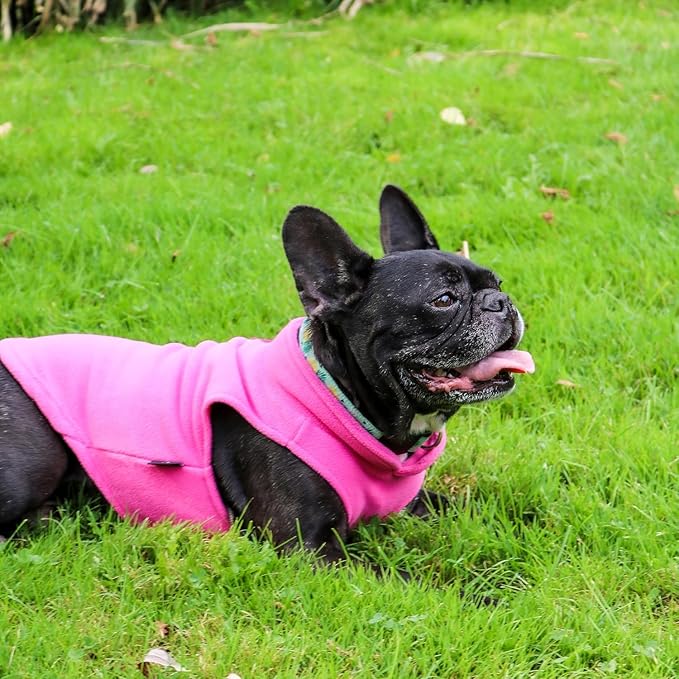 JACKO & CO - Fleece Vest Dog Sweater with Leash Ring - Soft, Warm & Lightweight Pullover Coat for Small & Medium Dogs, Puppies & Cats - Cozy Fall/Winter/Spring Pet Jacket (Pink, X-Large 17-25lbs)