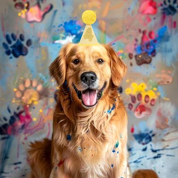 Pet Birthday Hat with Interchangeable Numbers 1-10 | Adjustable Pet Party Cone Hat for Dogs & Cats | Puppy Birthday Photo Props for 1st to 10th Birthday Celebrations (Yellow Birthday Pet Hat)