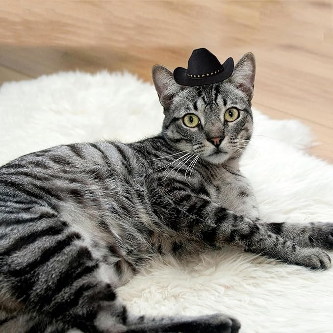 Dog Cowboy Hat Cat Cowboy Hat Pet Cowboy Costume Mini Cowboy Hat for Dogs Cat Holiday Halloween Pet Party Decoration (Black, Small)