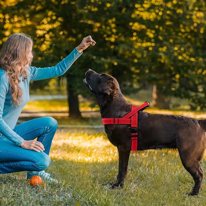 Red No Pull Dog Harness for Small Medium Large Sized Dog, Reflective Escape Proof Adjustable Dog Harnesses with 2 Patch, M