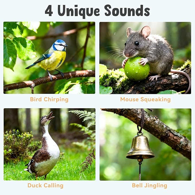 Interactive Cat Toys for Indoor Cats, Hanging Catnip Electric Kitten Toys - Automatic Flying Bird Cat Wand Toy for Bored Indoor with Timer Touch Start