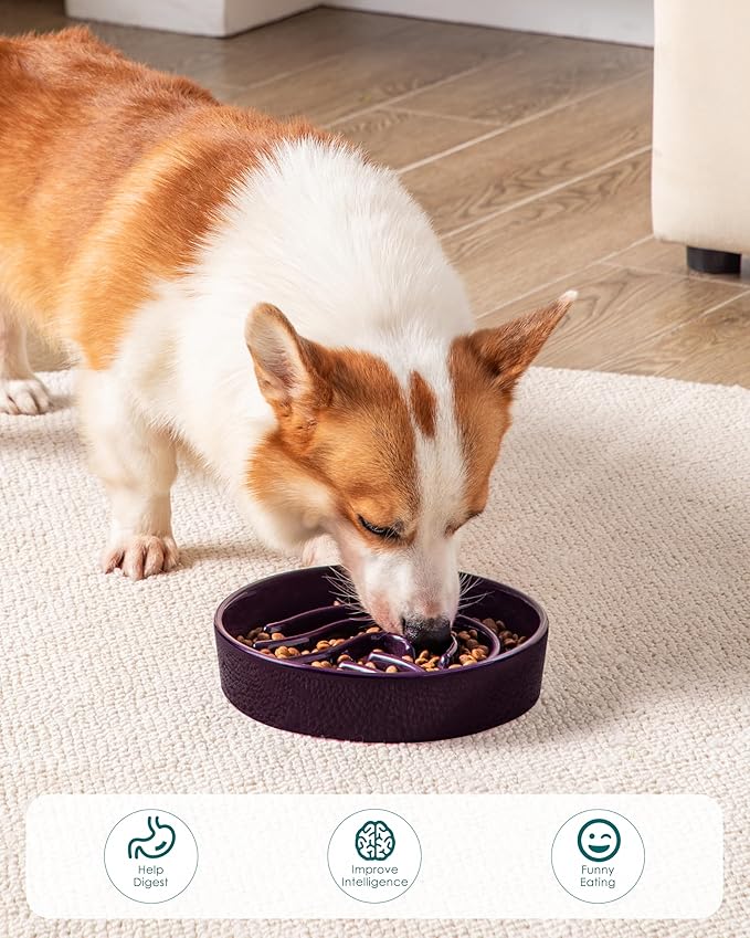 vancasso Slow Feeder Dog Bowl, 1.5 Cup Ceramic Slow Feeding Food Dish for Small and Medium Breed, Puzzle Dog Food Bowl for Fast Eater, Dark Purple