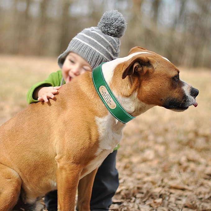 Didog Genuine Leather Dog Collars with Engraved Nameplate, Personalized Soft Leather Dog Collar with Custom ID Tag, Brown/Green/Red for Small Dogs (S,Green)