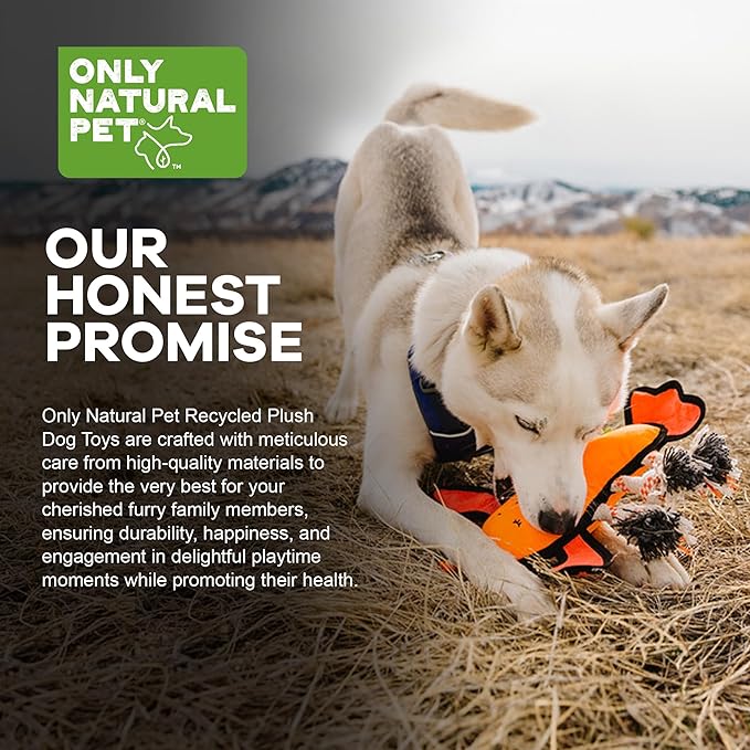 Only Natural Pet Sea Creatures Recycled Plush Dog Toy – Durable Double-Stitched Design w/Internal Squeaker, Rope Tug Arms & Plush Tail – Eco-Friendly Squeaky Toy for Dogs | Lucy The Lobster 11” x 12”