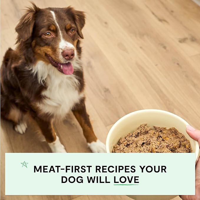 Open Farm Canned Dog Food, Pate for Complete & Balanced Nutrition, Grain Free and Legume-Free, Surf & Turf Recipe, 12.5oz Cans (Pack of 12)