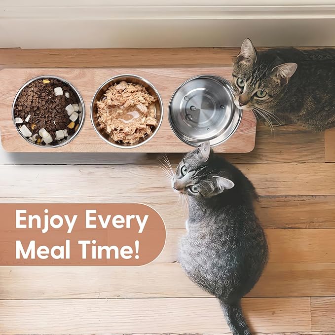 Elevated Cat Bowls with 3 Stainless Steel Bowls, 15° Tilted Raised Cat Food Bowl Wood Pet Bowls with Stand Anti Vomiting 2 Stainless Steel Bowl for Cats and Puppy