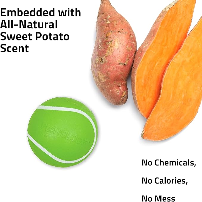 Playology Dog Toys | Squeaky Chew Ball - Bouncy Durable Floating Fetch Ball for Dogs | Jumbo Sweet Potato Scented Toy - Easy to Clean and Made from Non Toxic Materials